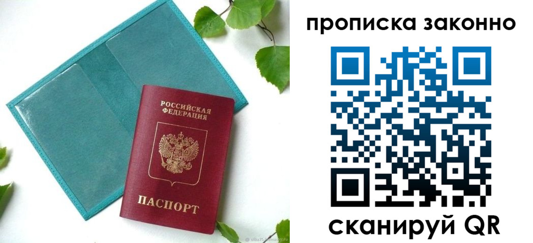 прописка штамп в Ясном